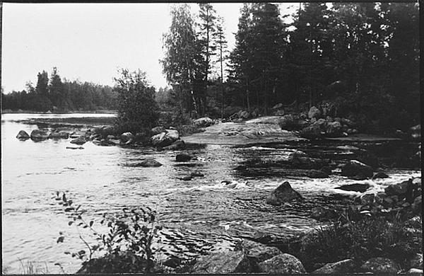 rs03113