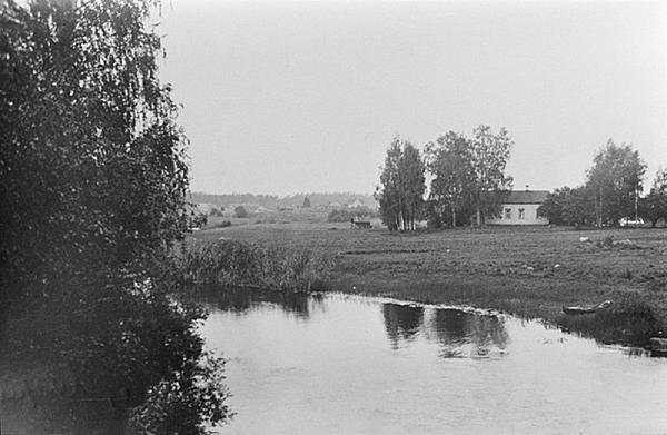 rs03127