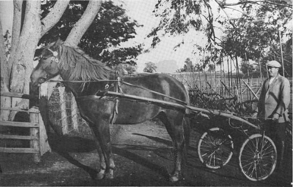 rs00454
