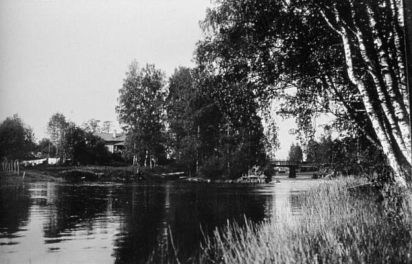rs02409