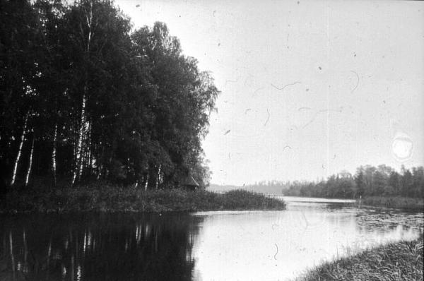 rs02411