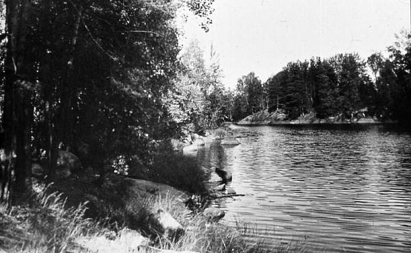 rs02414