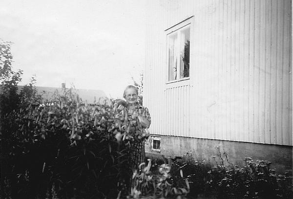 rs01977