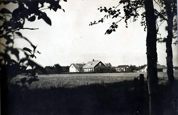 rs02912