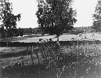 rs01703