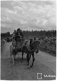 rs02279