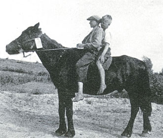 Hevonen