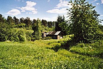 sauna 2007